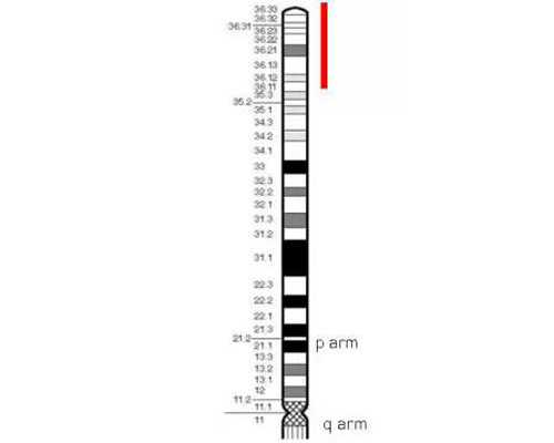 香港几周验血生男女,中学生日记200字中学生日记200字,越多越好