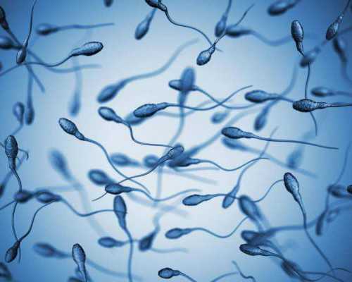 香港验血查男孩女孩多少天最准,香港验男女是查什么时候_验血查性别化验所哪