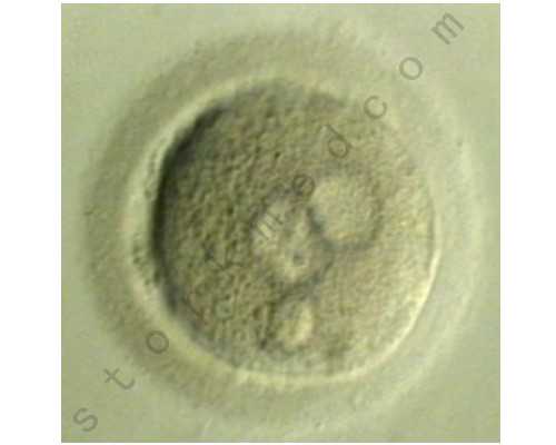 中华古玩网官网app下载,助眠食物大盘点