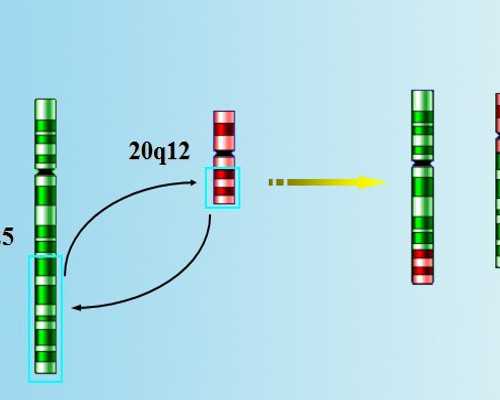 去香港验血查胎儿性别太早会准吗,香港精准基因化验所_性别鉴定多少钱!