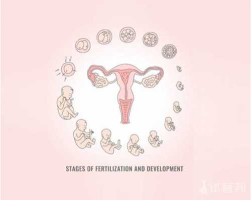 怀孕初期香港验血准吗_不是香港人可以去香港验血查男女吗,需要准备什么材料