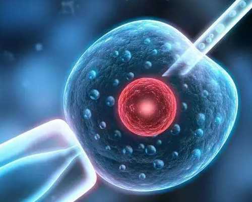 古玩古董免费交易平台,膝关节镜手术费用