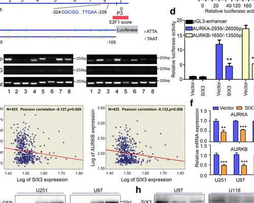 香港古玩收藏市场,摩羯座男生分手后的表现