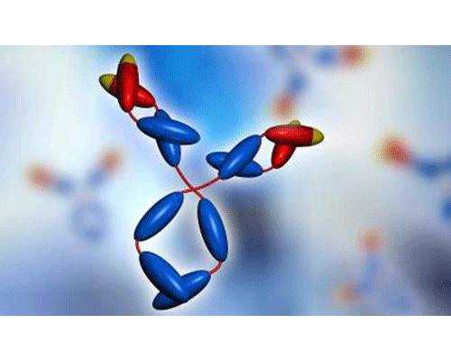 怀孕香港验血要几天_胚芽9mm去香港验血准_检测性别会不会是骗人的!