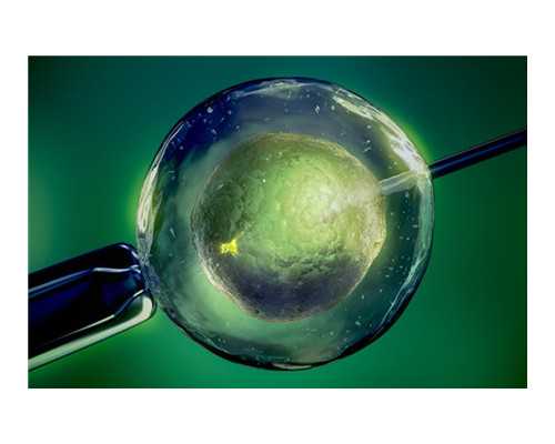 香港验血 费用多少_推荐香港验血机构准不准,有没有香港验血翻盘的