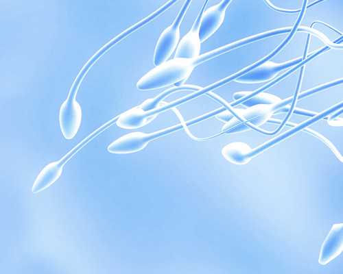 主角重生收藏古玩小说,双子结婚率最高的星座双子不适合结婚?