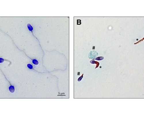 网上古玩交易市场,哪些星座栽在摩羯女