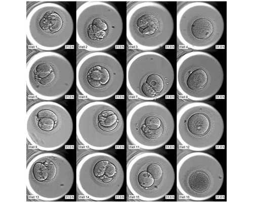 沉浮古玩虫电视剧全集在线6,减肥必胜功略