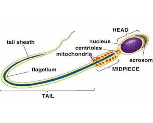 北京近期古玩拍卖会,看懂这几个健身常识，避开弯路，健身效率会大大提升