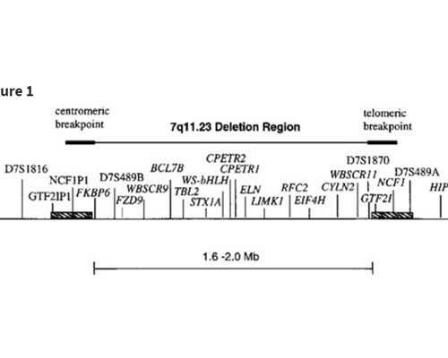 兰州古玩鉴定专家,TIM星座一周运势30-5