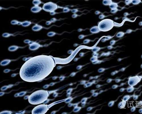 十部经典古玩电视剧_属龙的狮子座男生性格