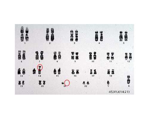 刘金山古玩电视剧名字,新手到健身房应该是怎样的流程？