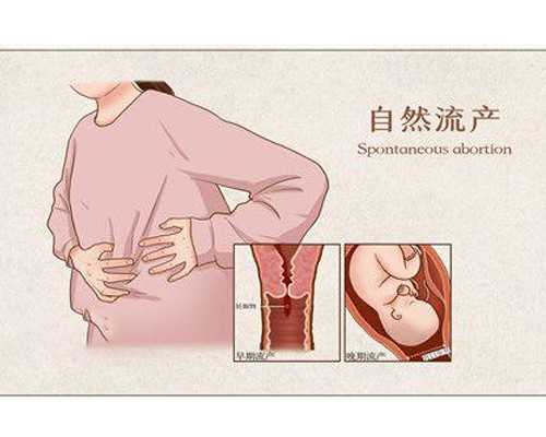 香港验血检查要多少钱啊,美国试管婴儿利弊分析 凸显第三代PGS/PGD基因检测优势