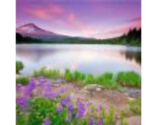 香港验血男女第一次女 第二次儿子_怀孕能去香港鉴定性别吗_我在香港验血真实