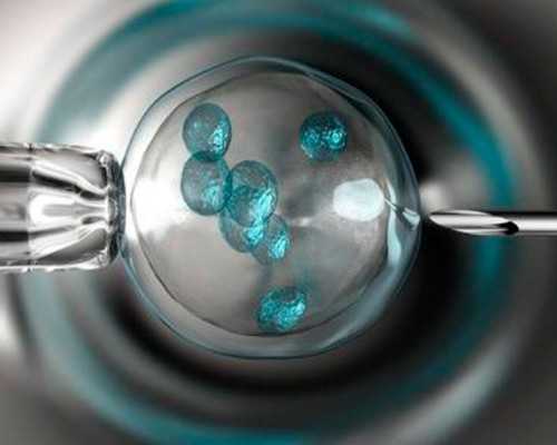 香港怀孕多久验血鉴定男女_香港验血失误的有_亲身经历详细攻略