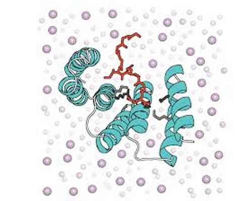 香港验血签定男女多少钱,美国试管婴儿技术能否阻断遗传病?