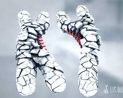 古玩类电视剧_潮汕小吃店里超辣超香的辣椒酱