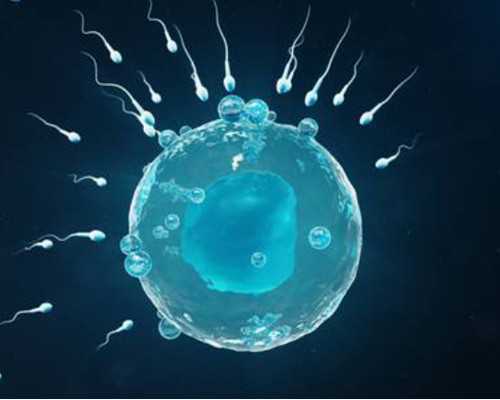 鉴定古玩系统最新章节_双子座和双子座友情指数爱情指数分析