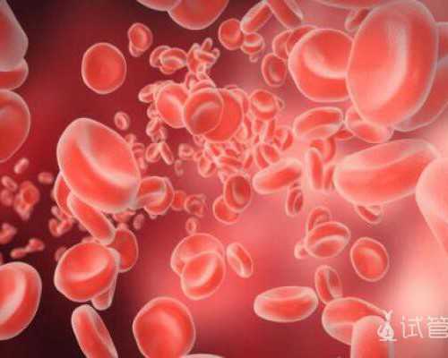 如何去香港正规诊所验血,香港hkdna化验所查男女_dna胎儿性别是骗人的吗!