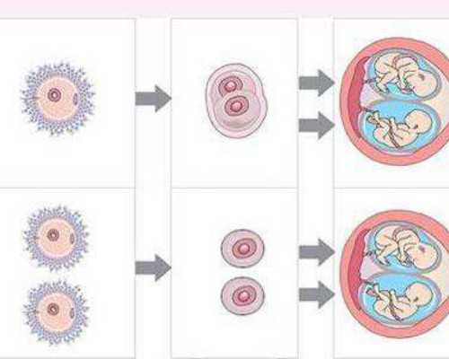 宫颈粘液栓,验血可以邮寄香港吗