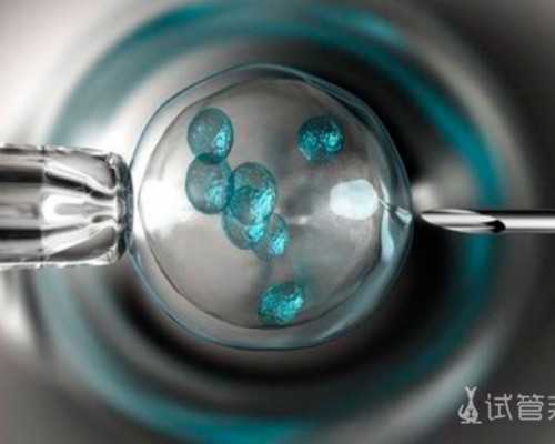 怀孕初期通过验血测男女的准确率是多少——{检,抽血去香港验血准吗