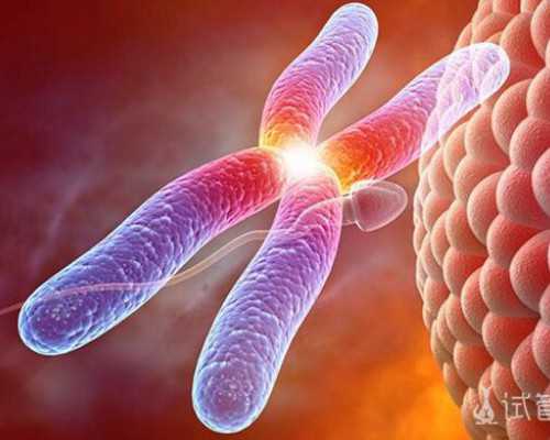 古玩鉴定电影,使用滚轮瘦腿有用吗