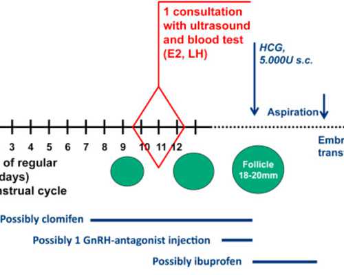 香港验血测性别多少钱招贴网,江西省南昌市民间私立的供卵助孕机构有哪些？