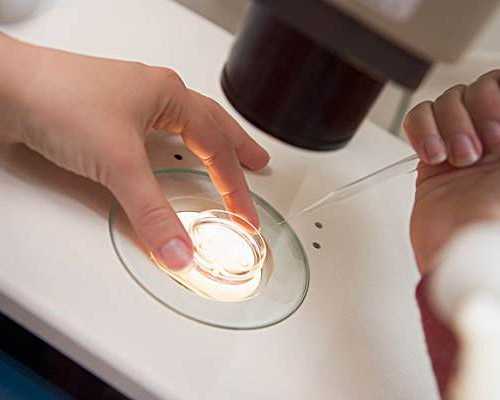 玉器古玩,射手座2022年9月感情运势完整版2022年9月射手座感情运势详解