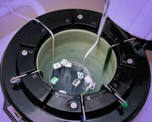 哈尔滨古玩拍卖公司,她是贾乃亮姐姐，却被陆毅抛弃，嫁人隐退如今她重出江