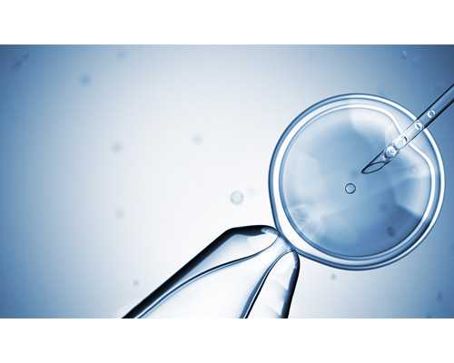 为什么香港验血女孩多,卵巢早衰检查每个月能排卵还可以做试管吗