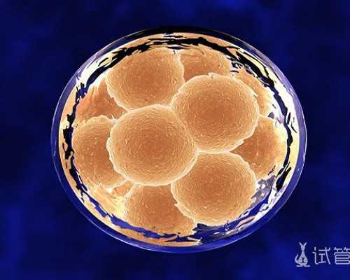 香港验血女宝生下男宝,试管婴儿精子存活时间多久