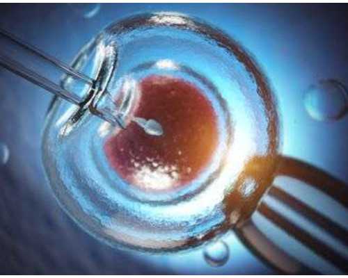 半年内流产香港验血还准吗,香港验血怎么测男女邮寄_寄血过去可靠吗性别鉴定