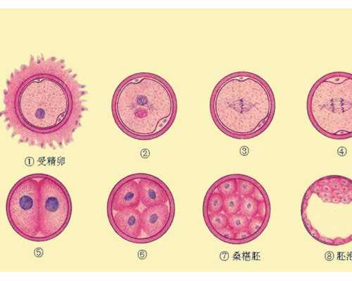 古玩行话有什么,怎么样才能练出腹肌