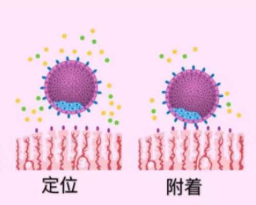 古玩虫电视剧20集,屏蔽 XML-RPC 服务,提高 WordPress 安全性