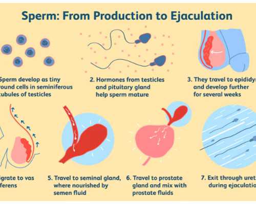 香港验血要再找哪个医生开条子,2022年海南省供(借)卵试管婴儿医院排名汇总，