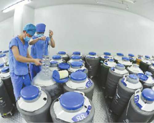 香港验血男女要多少钱左右,香港验血鉴定胎儿性别男女，认准香港百高基因预