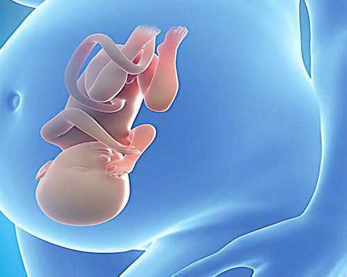 送血去香港查男女牢靠吗,亲身经历具体攻略! 香港验血鉴定mk官网
,七周怀孕到