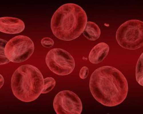 双胞胎去香港验血准吗,试管宝宝是不是更聪明?用3个研究告诉你蒲荷孕育 今天