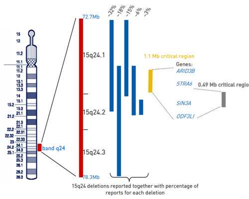 寄血去香港验血查胎儿性别 武汉,广州试管婴儿冻胚移植成功率大概多少?解冻会