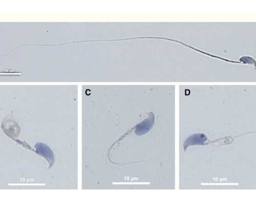 成都古玩拍卖公司正规吗,被圈禁十年的老十三,出来仍然能控制兵权?究竟是