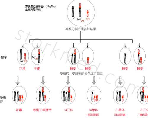 天水古玩收藏鉴定在哪里,轻松撩到狮子男的星座同为火象属性