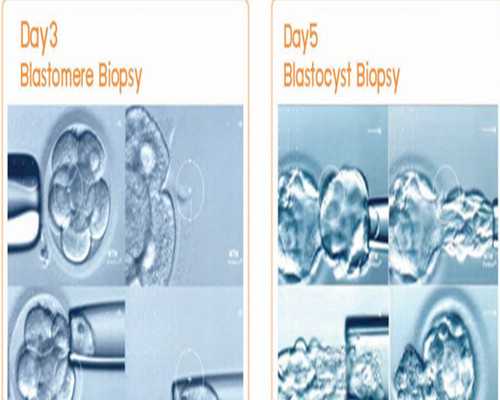 古玩店精品对联大全,能拿下巨蟹男的星座女