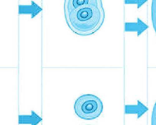 香港验血测性别准确率有多高,【上海地区供卵试管】第一次促排中了,非典型