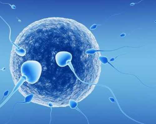 香港验血测胎儿性别的费用_怀孕两个月去香港验血准不准_多少周可以香港验血