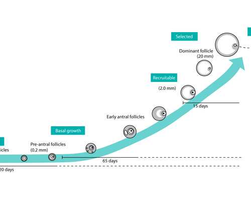 香港验血查早孕多钱,孕9周香港验血会翻盘吗_鉴定性别需要什么条件!