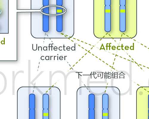 上个月生化了这个月怀孕香港验血,香港可以抽血查胎儿性别吗,需要注意的都在
