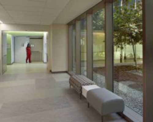 现在香港验血价格多少,北京验血查男女_怎么预约去香港验血!