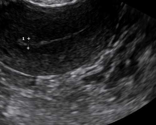 古玩纪念品,TIM星座一周运势1-7