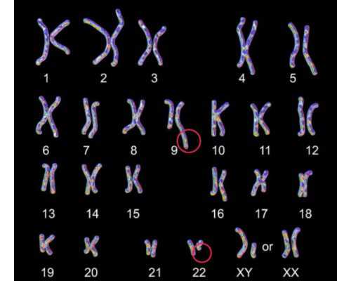 沉浮古玩虫电视剧迅雷下载,六种运动适合冬天减肥