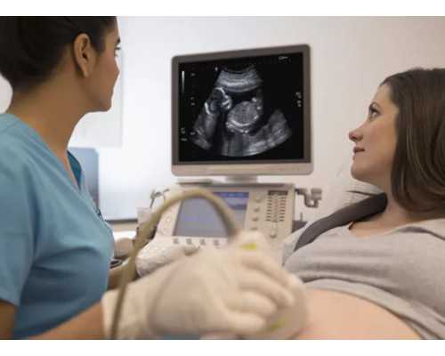 香港验血鉴定男女还会查胎儿发育吗,想科学备孕男宝宝很简单，只要照着秘籍